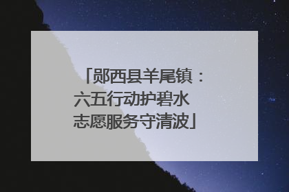 郧西县羊尾镇：六五行动护碧水 志愿服务守清波