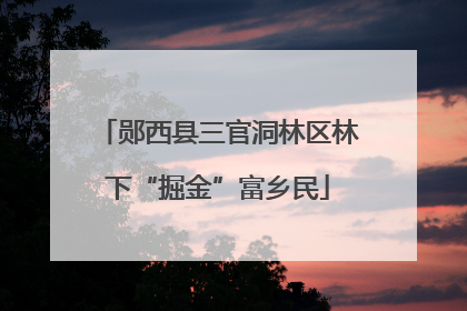 郧西县三官洞林区林下“掘金”富乡民