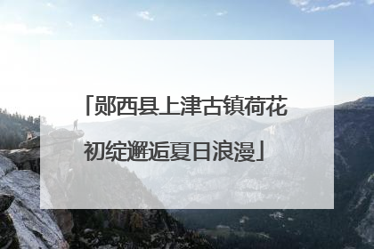 郧西县上津古镇荷花初绽邂逅夏日浪漫