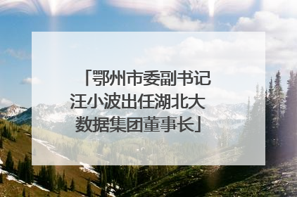 鄂州市委副书记汪小波出任湖北大数据集团董事长