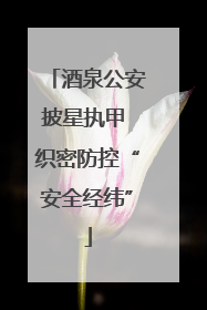 酒泉公安披星执甲 织密防控“安全经纬”