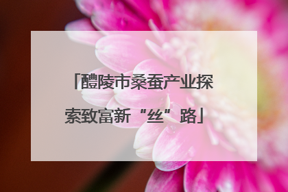 醴陵市桑蚕产业探索致富新“丝”路
