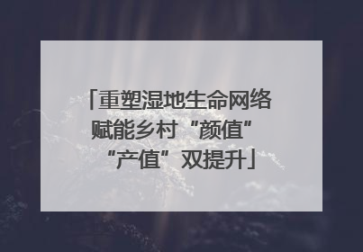 重塑湿地生命网络 赋能乡村“颜值”“产值”双提升