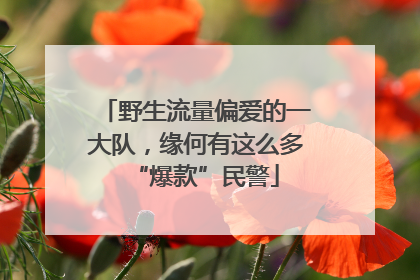 野生流量偏爱的一大队，缘何有这么多“爆款”民警