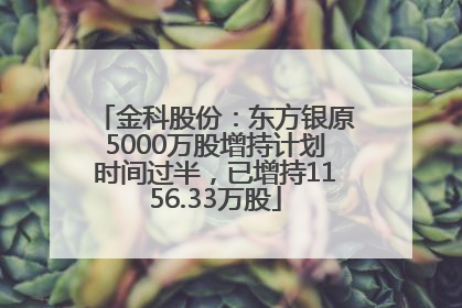 金科股份：东方银原5000万股增持计划时间过半，已增持1156.33万股