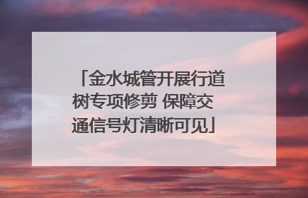 金水城管开展行道树专项修剪 保障交通信号灯清晰可见
