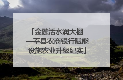 金融活水润大棚——莘县农商银行赋能设施农业升级纪实
