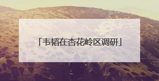 韦韬在杏花岭区调研