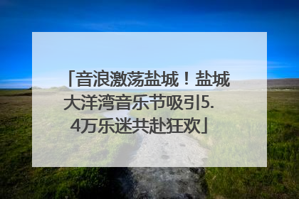 音浪激荡盐城！盐城大洋湾音乐节吸引5.4万乐迷共赴狂欢