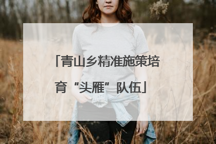 青山乡精准施策培育“头雁”队伍
