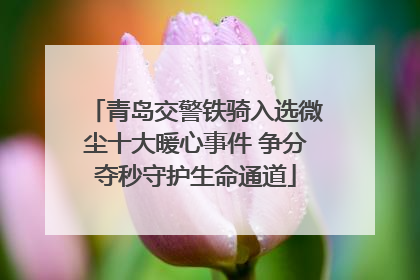 青岛交警铁骑入选微尘十大暖心事件 争分夺秒守护生命通道