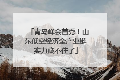 青岛峰会首秀！山东低空经济全产业链实力藏不住了