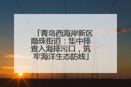 青岛西海岸新区隐珠街道：集中排查入海排污口，筑牢海洋生态防线