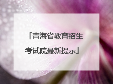 青海省教育招生考试院最新提示