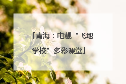 青海：电靓“飞地学校”多彩课堂