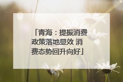 青海：提振消费政策落地显效 消费态势回升向好