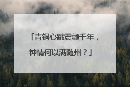 青铜心跳震颤千年，钟情何以满随州？