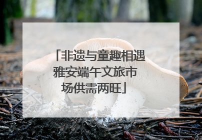 非遗与童趣相遇 雅安端午文旅市场供需两旺