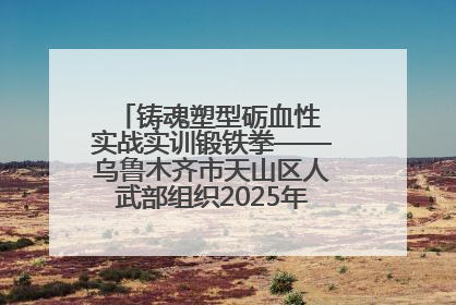 铸魂塑型砺血性 实战实训锻铁拳——乌鲁木齐市天山区人武部组织2025年度民兵集中轮训