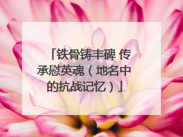 铁骨铸丰碑 传承慰英魂（地名中的抗战记忆）