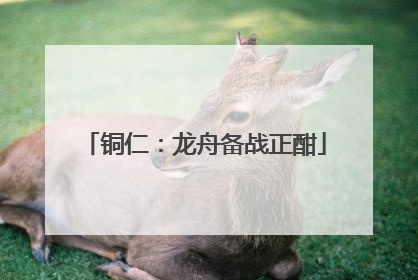 铜仁：龙舟备战正酣