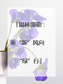 锡林郭勒：乘“新”风向“绿”行