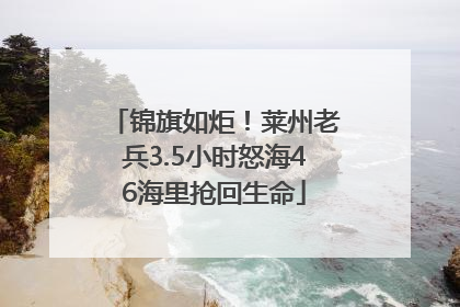 锦旗如炬！莱州老兵3.5小时怒海46海里抢回生命