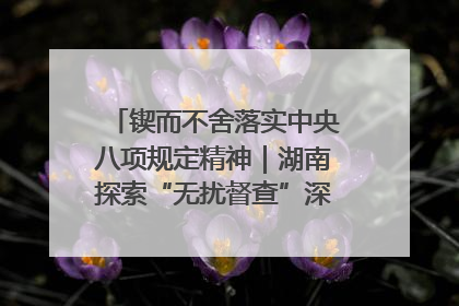 锲而不舍落实中央八项规定精神｜湖南探索“无扰督查”深化基层减负
