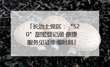 长治上党区：“520”甜蜜登记潮 便捷服务见证幸福时刻