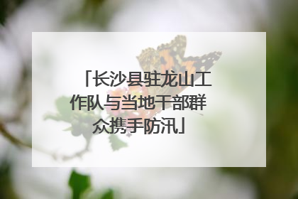 长沙县驻龙山工作队与当地干部群众携手防汛