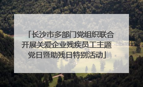 长沙市多部门党组织联合开展关爱企业残疾员工主题党日暨助残日特别活动