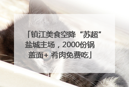 镇江美食空降“苏超”盐城主场，2000份锅盖面+ 肴肉免费吃