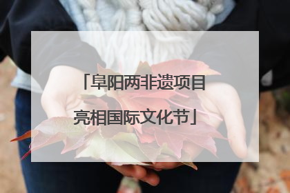阜阳两非遗项目亮相国际文化节