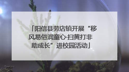 阳信县劳店镇开展“移风易俗润童心·扫黄打非助成长”进校园活动