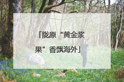 陇原“黄金浆果”香飘海外