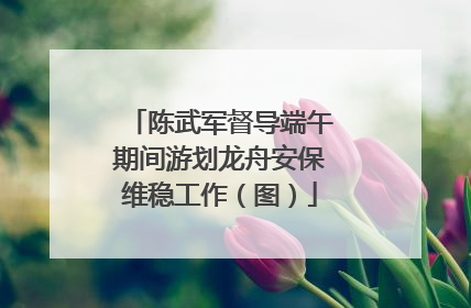 陈武军督导端午期间游划龙舟安保维稳工作（图）