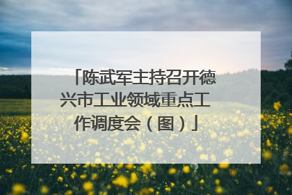 陈武军主持召开德兴市工业领域重点工作调度会（图）