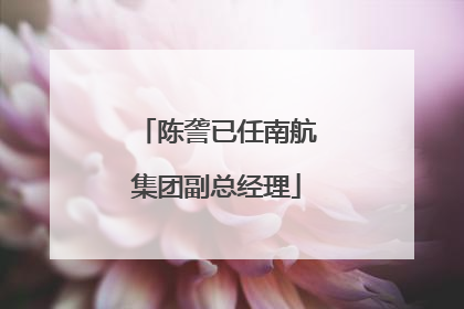 陈詟已任南航集团副总经理