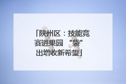 陕州区：技能竞赛进果园 “袋”出增收新希望