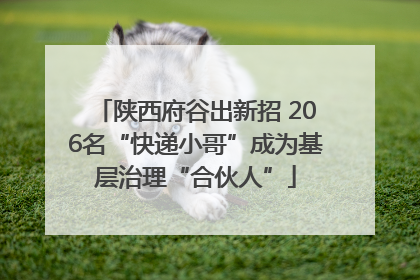 陕西府谷出新招 206名“快递小哥”成为基层治理“合伙人”