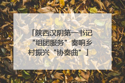 陕西汉阴第一书记“组团服务”奏响乡村振兴“协奏曲”