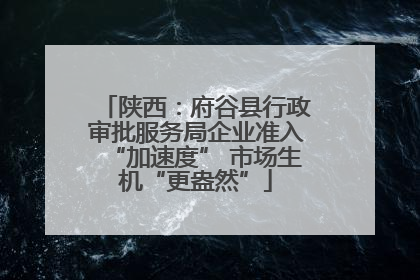 陕西：府谷县行政审批服务局企业准入“加速度” 市场生机“更盎然”
