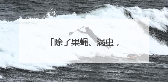 除了果蝇、涡虫，中国空间站还有哪些“动物航天员”