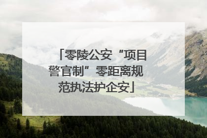 零陵公安“项目警官制”零距离规范执法护企安
