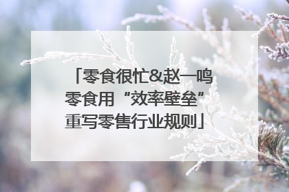 零食很忙&赵一鸣零食用“效率壁垒”重写零售行业规则