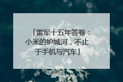 雷军十五年答卷：小米的护城河，不止于手机与汽车