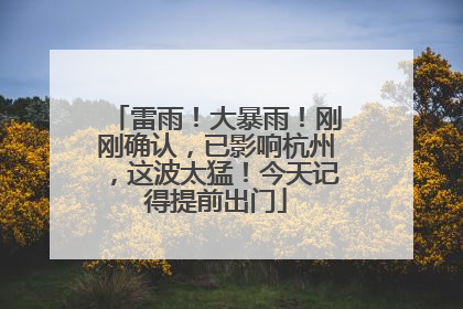 雷雨！大暴雨！刚刚确认，已影响杭州，这波太猛！今天记得提前出门