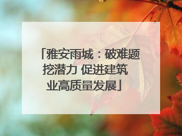 雅安雨城：破难题 挖潜力 促进建筑业高质量发展