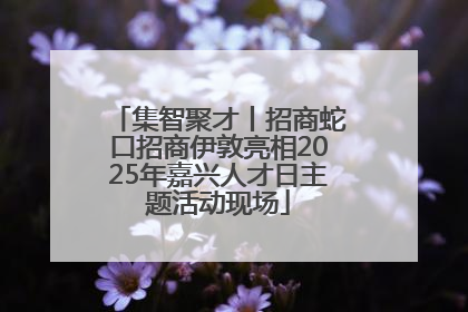 集智聚才丨招商蛇口招商伊敦亮相2025年嘉兴人才日主题活动现场
