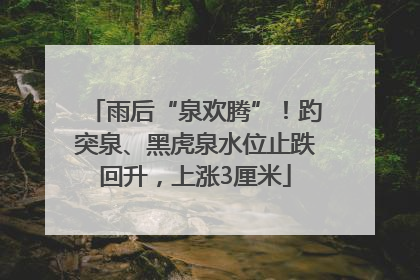 雨后“泉欢腾”！趵突泉、黑虎泉水位止跌回升，上涨3厘米